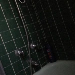 Meet your Posher, Teddy